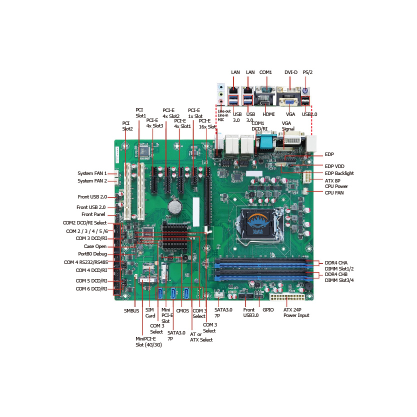 A170-P.jpg