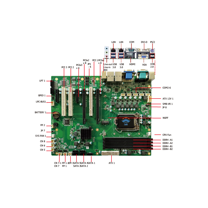 A170B-P.jpg